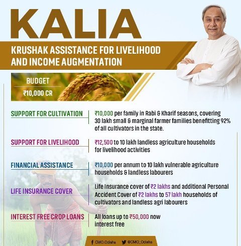 KALIA Yojana Benefits- Odisha KALIA Yojana Financial, Insurance, Loan & Scholarship 
