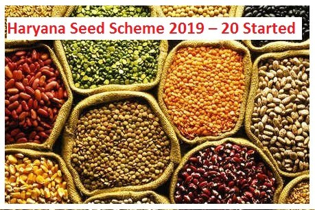Apply Online For Haryana Seed Scheme 2019