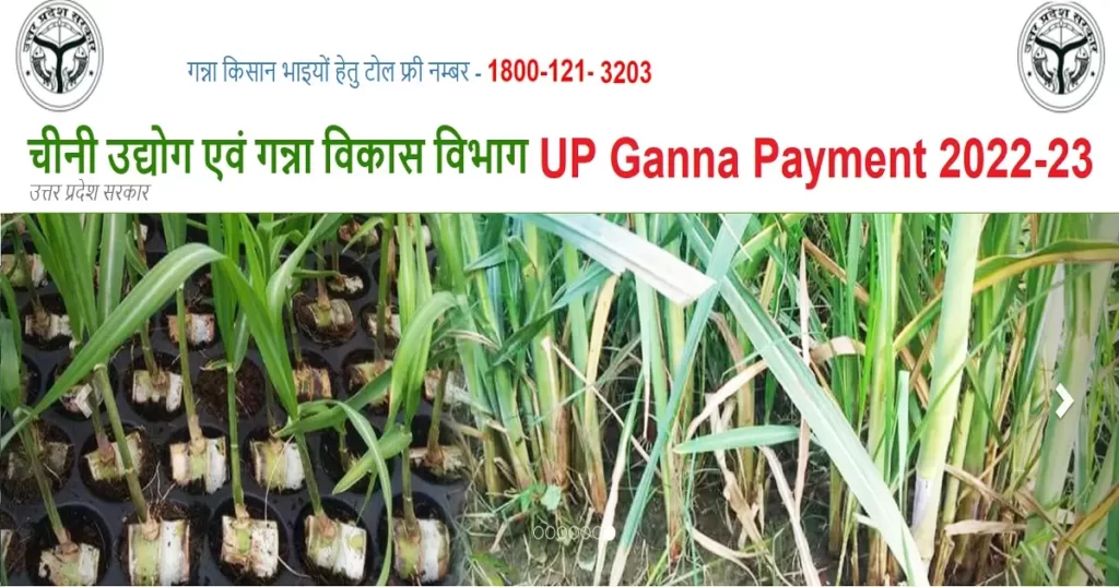 Uttar Pradesh Ganna Payment 